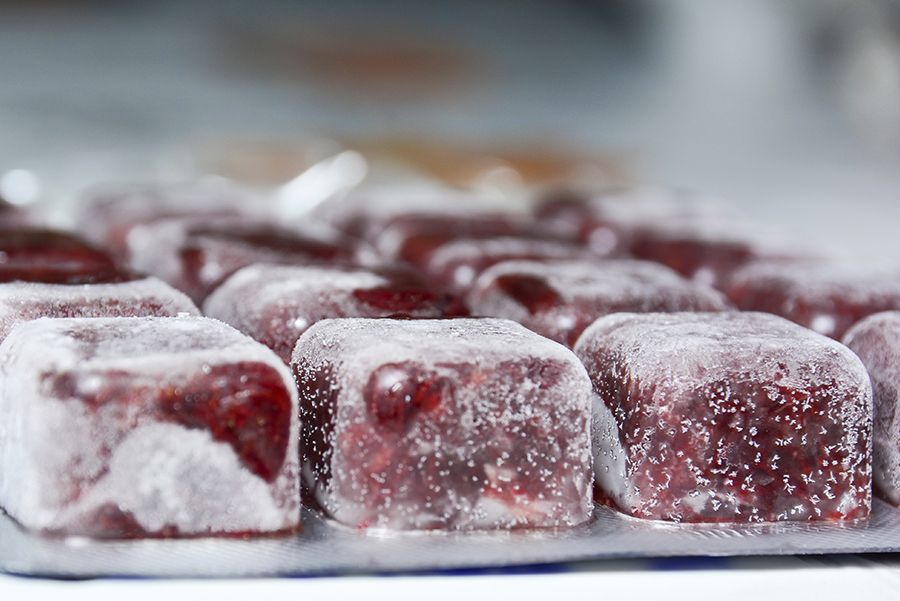 zamrznjena hrana za ribe zamrznjena hrana za ribe