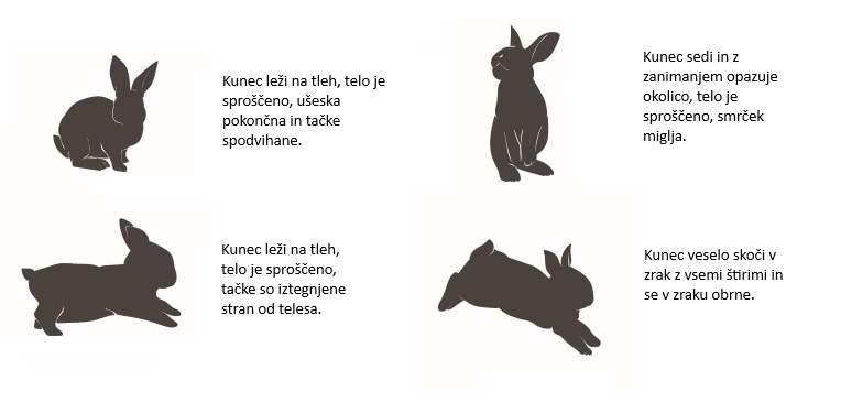 vesel kunec vesel kunec