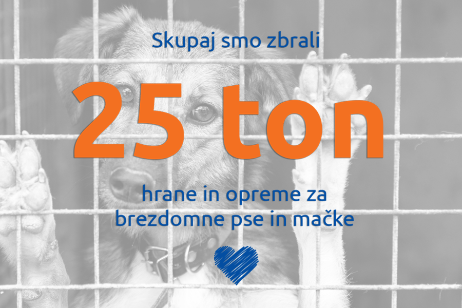 zavetišče donacija