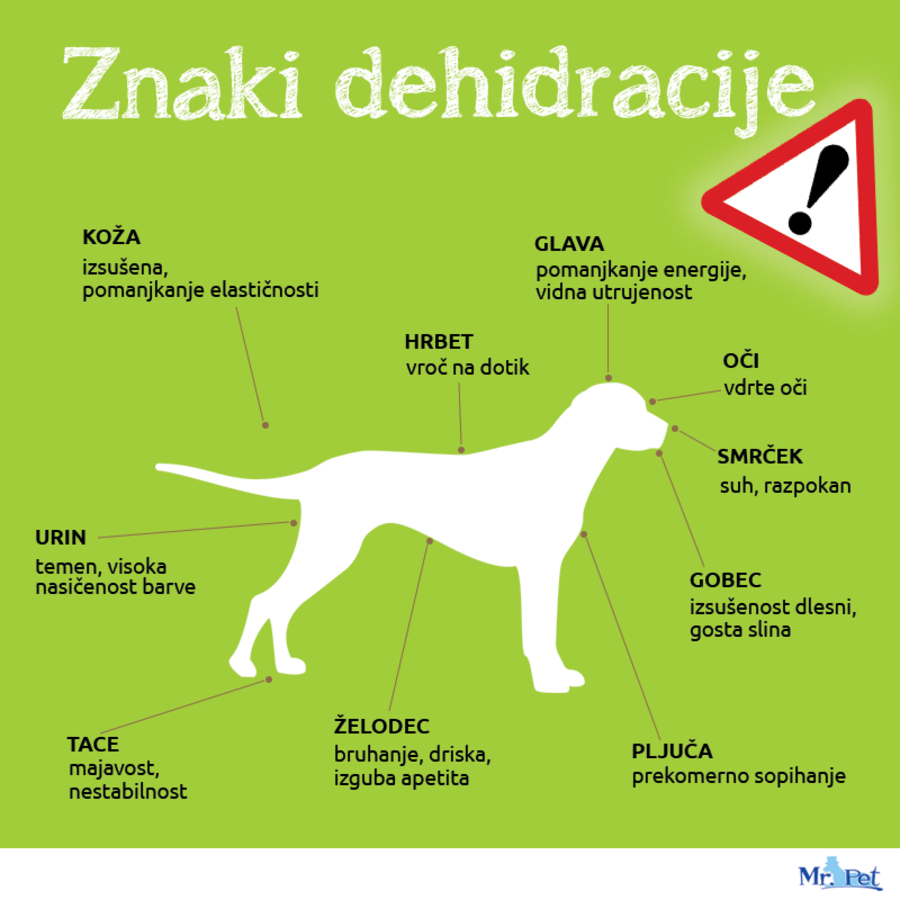Prepoznajte znake dehidracije pri psih. znaki dehidracije pes