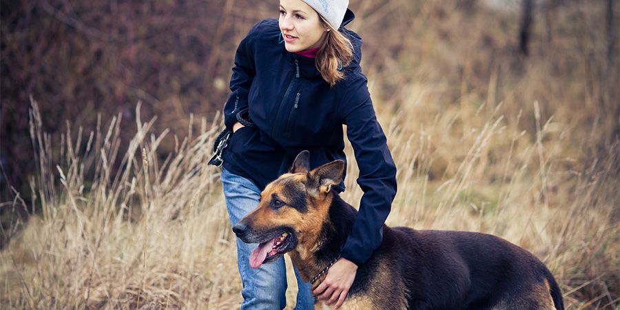 Socializacija je pomemben del kužkovega življenja. pes socializacija