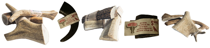 rogovje za psa rogovje za psa