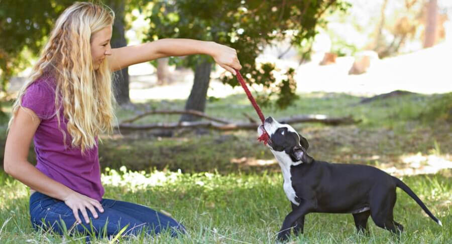 kuža v novem domu kuža v novem domu