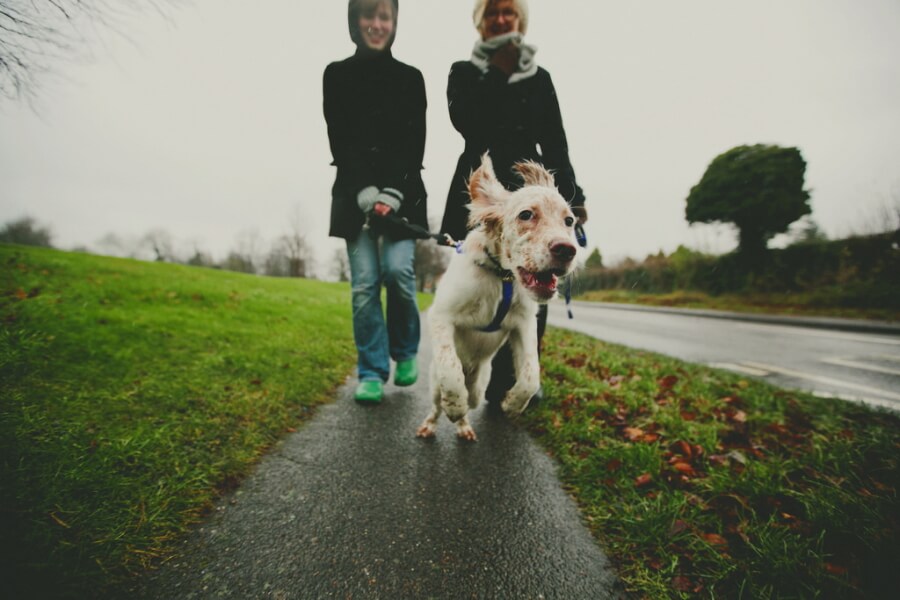 odpravimo vlečenje odpravimo vlečenje