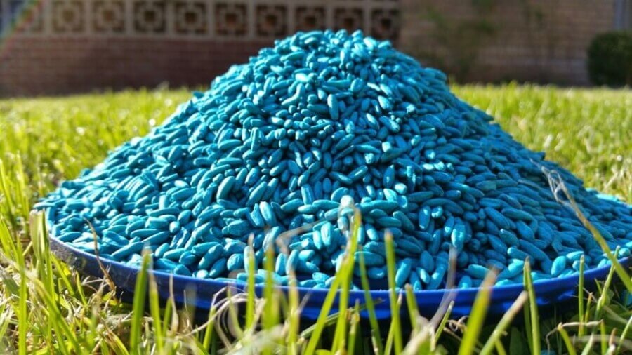 Strup za podgane in druge glodalce. strup glodalci