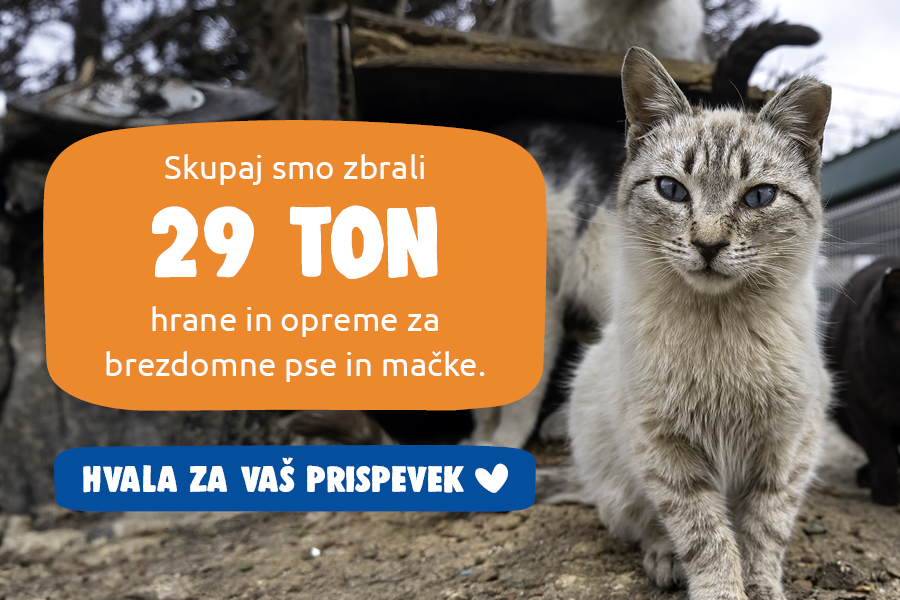 20 ton zbrane hrane in opreme 20 ton zbrane hrane in opreme