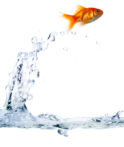 Uporaba prečiščene akvarijske vode v akvariju ima ugoden vpliv predvsem na občutljive vodne organizme. reverzna osmoza